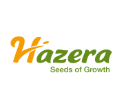 Hazera