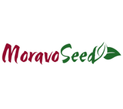 Moravoseed