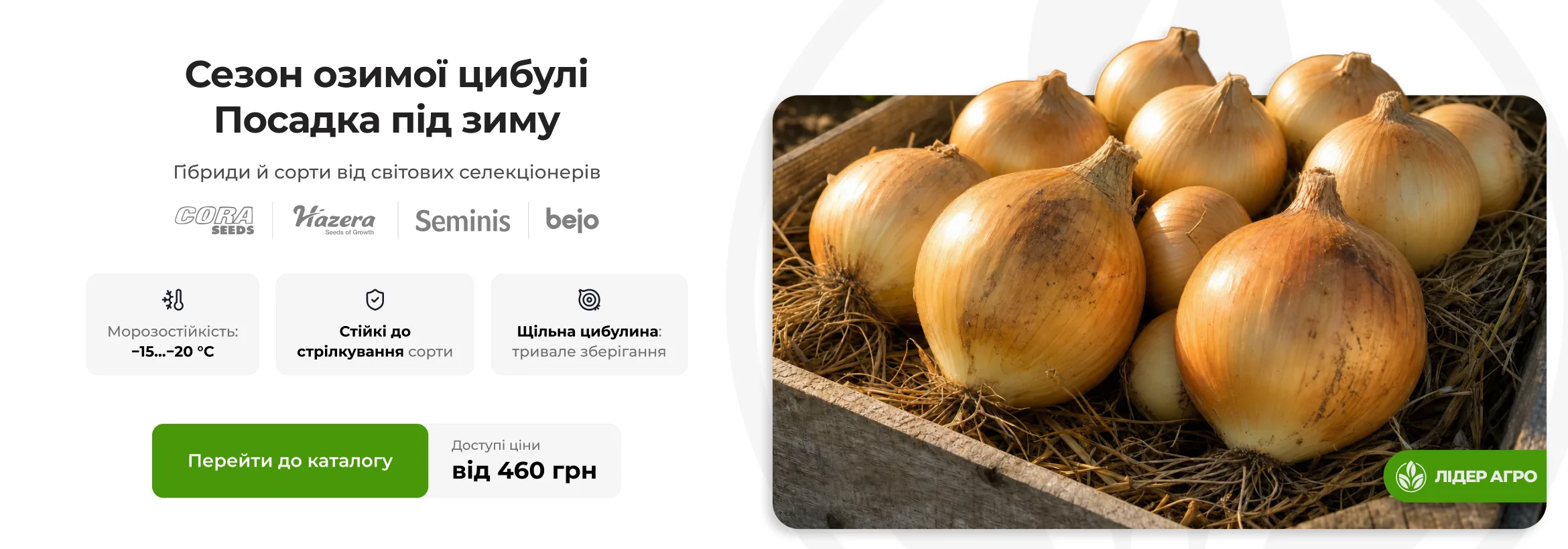 Сезон озимої цибулі