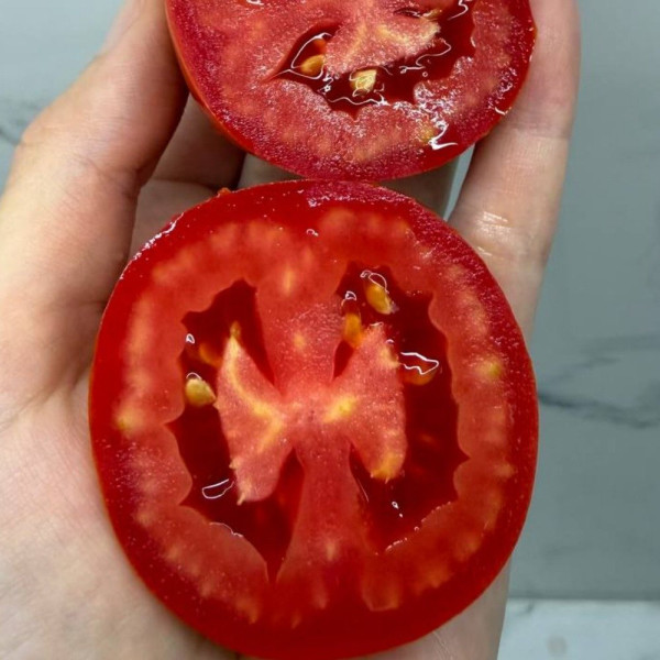 Ханна F1 — томат сливка детермінантний (Innova Seeds)