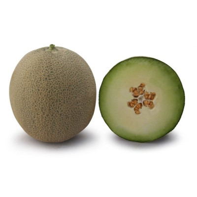 KS 7044 F1 — диня типу Japanese середньопізня (Kitano Seeds)