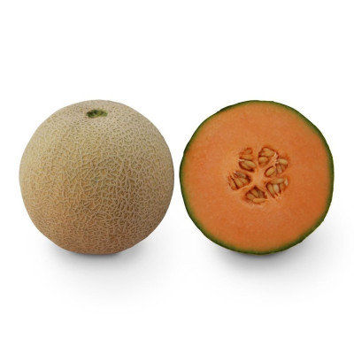 KS 7049 F1 — диня типу Канталупа середньопізня (Kitano Seeds)