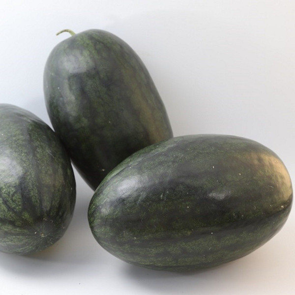 KS 250 F 1 — кавун типу Кримсон Світ ранньостиглий (Kitano Seeds)