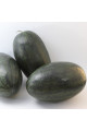 KS 250 F 1 — кавун типу Кримсон Світ ранньостиглий (Kitano Seeds)