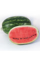 KS 632 F1 — кавун типу Кримсон Світ ранній (Kitano Seeds)