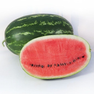 KS 632 F1 — кавун типу Кримсон Світ ранній (Kitano Seeds)