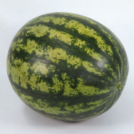 KS 633 F1 — кавун типу Кримсон Світ ранній (Kitano Seeds)