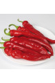 KS 6215 F1 — перець гострий типу Чилі ранній (Kitano Seeds)