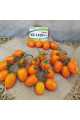 Бенігара F1 — томат сливка індетермінантний (Kitano Seeds)