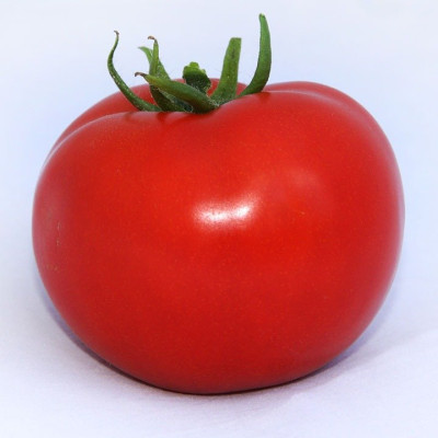 Хітомакс F1 — томат індетермінантний (Kitano Seeds)