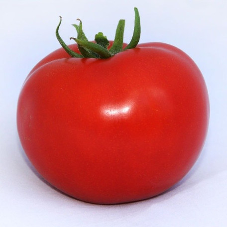 Хітомакс F1 — томат індетермінантний (Kitano Seeds)