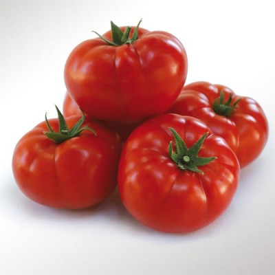 KS 206 F1 — томат індетермінантний (Kitano Seeds)