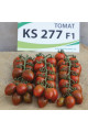 KS 277 F1 — томат сливка індетермінантний (Kitano Seeds)