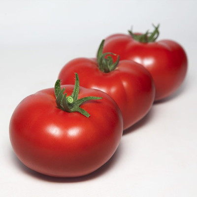 KS 301 F1 — томат індетермінантний (Kitano Seeds)