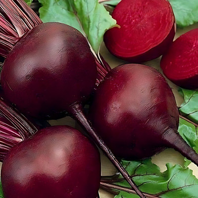 Детройт — буряк столовий (Leda)