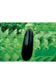 Ельдорадо F1 — баклажан (Libra Seeds)