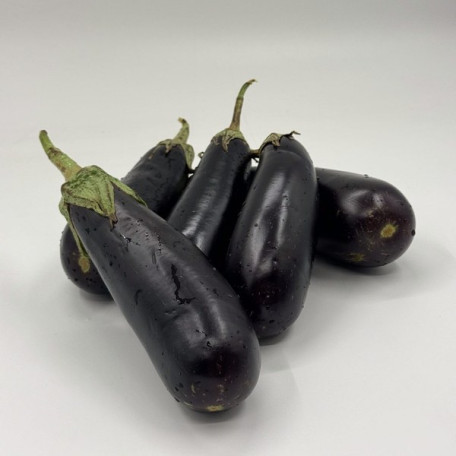 Караман F1 — баклажан (Libra Seeds)
