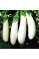 Мобі Дік F1 — баклажан (Libra Seeds)