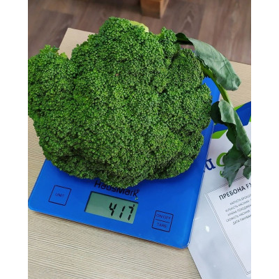 Пребона F1 — капуста броколі рання (Libra Seeds)