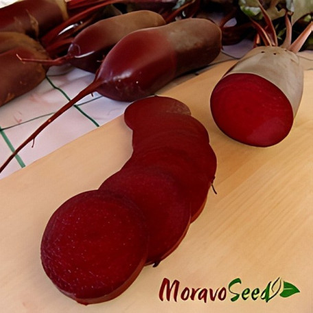 Алексіс — буряк столовий (Moravoseed)