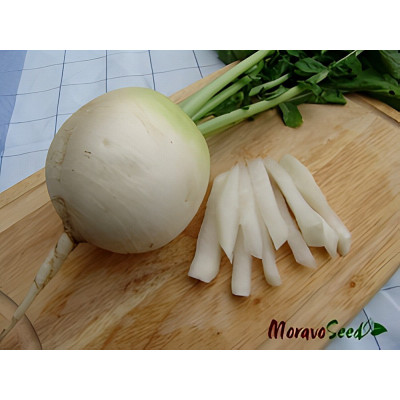 Акорд — редька ранньостигла (Moravoseed)