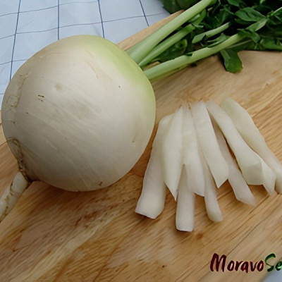 Акорд — редька ранньостигла (Moravoseed)