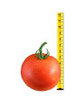 Григорашик F1 — томат сливка супердетермінантний (НІІЦСА)