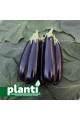 ES 35007 F1 — баклажан (Ergon seeds)