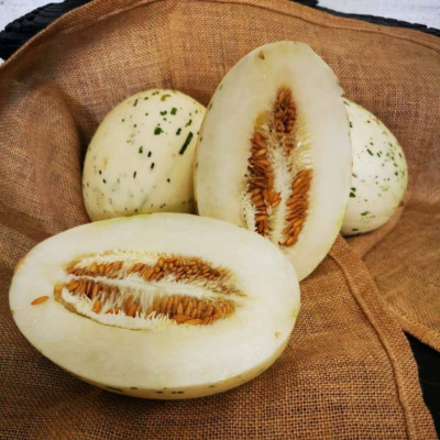 Сілвер Стар F1 — диня типу Honey Dew ранньостигла (Planti)