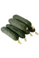 ES 22001 F1 — огірок партенокарп. ранній (Ergon Seeds)