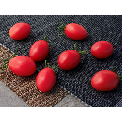 Розестар F1 — черрі томат індетермінантний (Sakata)