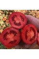 2123 F1 — томат сливка детермінантний (Spark Seeds)