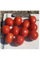 6107 F1 — томат детермінантний (Spark Seeds)