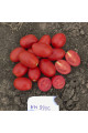 9905 F1 — томат сливка детермінантний (Spark Seeds)