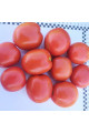 9960 F1 — томат детермінантний (Spark Seeds)