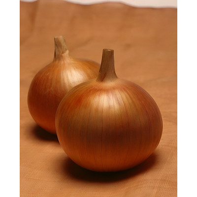 Бонус F1 — цибуля ріпчаста рання (Takii Seeds)