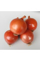 Борнео F1 — цибуля ріпчаста середньопізня (Takii Seeds)