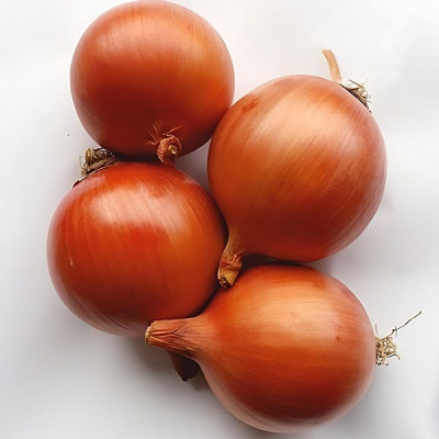 Борнео F1 — цибуля ріпчаста середньопізня (Takii Seeds)