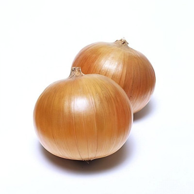 Калвера F1 — цибуля ріпчаста ультрарання (Takii Seeds)