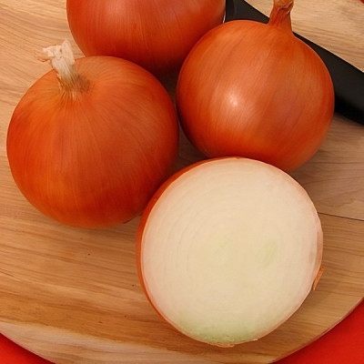 Медуза F1 — цибуля ріпчаста середньорання (Takii Seeds)