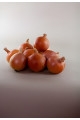 Вуельта F1 — цибуля ріпчаста пізня (Takii Seeds)