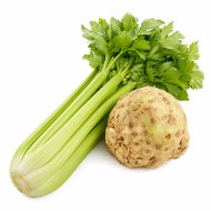 Насіння селери