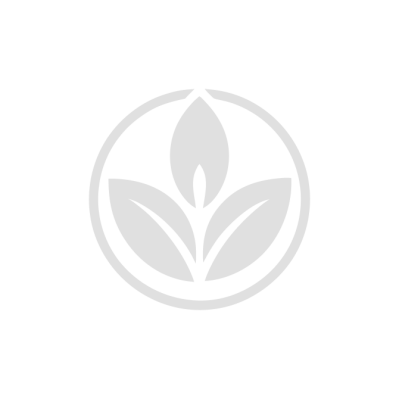 Геркулес — капуста брюсельська середньопізня (Hortus)
