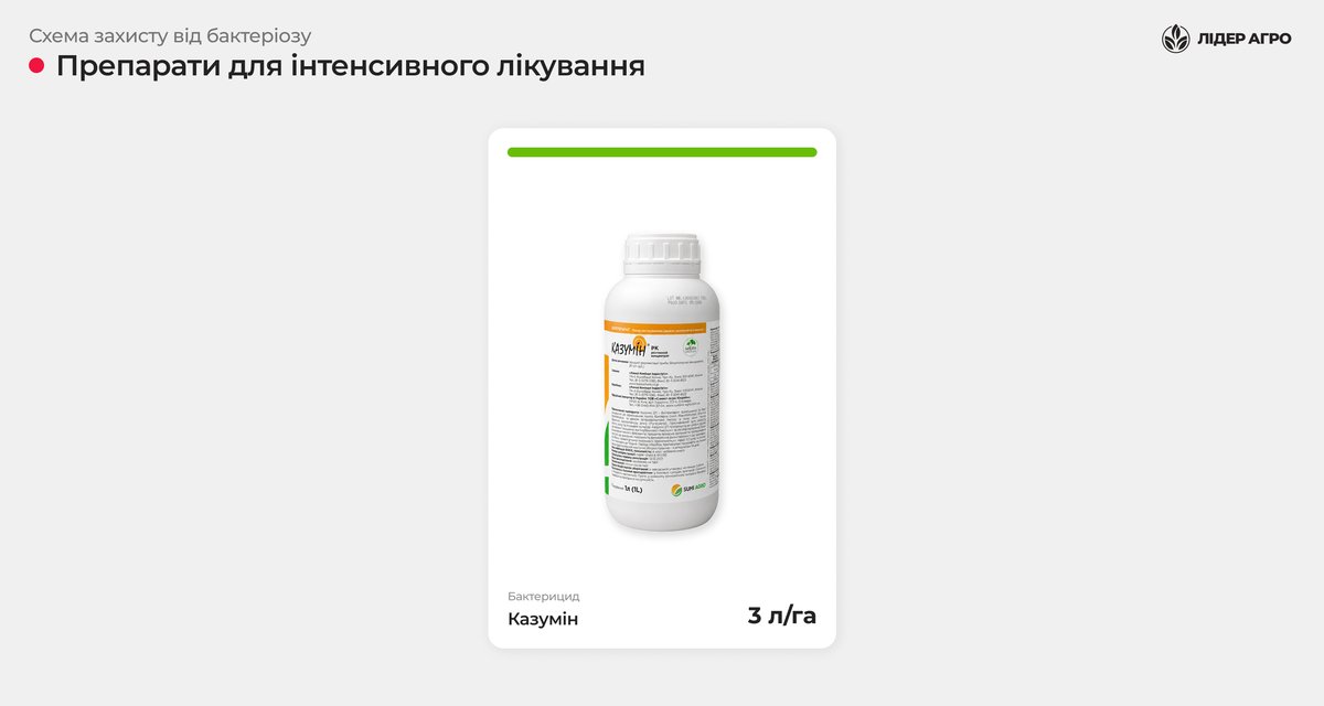 Схема захисту від бактеріозу капусти: препарати для інтенсивного лікування — бактерицид Казумін 3 л/га
